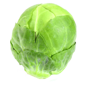 富兰克林抱子甘蓝种籽孢子甘蓝种子苗高产四季包子甘监蔬菜菜种孑