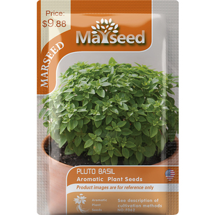 【掌柜推荐】美国进口新品超迷你Pluto Basil 盆栽冥王星罗勒种子