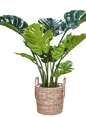 仿真植物龟背竹大型室内客厅