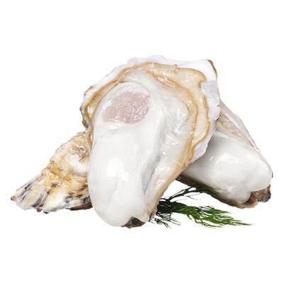 贝司令乳山生蚝顺丰鲜活到家