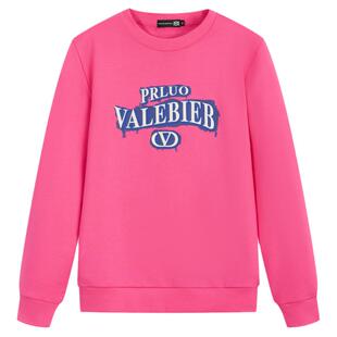 BM字母刺绣美式高街卫衣男2024新款春秋款纯棉重磅男士上衣玫红色