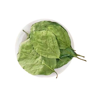 霜后柿子叶茶降官方血旗舰店脂压正品高非中药材三的功效与作用茶