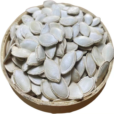 内蒙古新鲜大颗粒南瓜子生熟可选