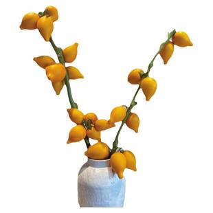 五代同堂黄金果鲜花云南直发鲜切花乳茄果福禄果插花五代果水培