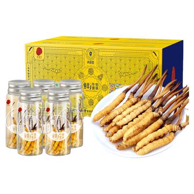 【正宗同仁堂】北京同仁堂冬虫夏草0.8g30根新鲜虫草自用礼盒送礼