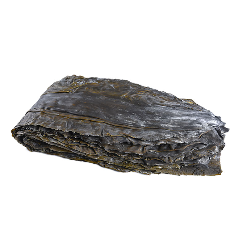 山东长岛海带干货厚非野生500g