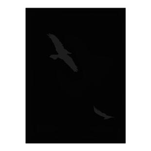 预售 RJ MUNA | Fleeting GesturesRJ MUNA | 稍纵即逝的姿态