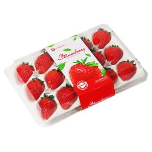 一次性草莓盒子包装盒透明塑料打包盒水果盒装草莓的盒子15粒带托