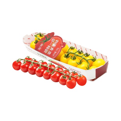 【知翠】红樱桃小番茄黄色小番茄生吃自然熟新鲜水果现摘小柿子