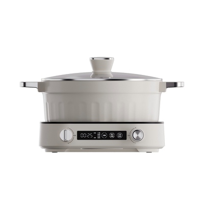 巢石24h终点式预约多功能电磁炉