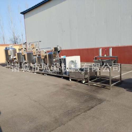 中小型奶酪奶豆腐加工全套设备 奶制品生产线 商用干奶酪成型机