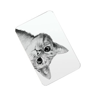 北欧猫 硅藻泥脚垫卫生间卫浴垫硅藻土地垫吸水速干浴室防滑垫