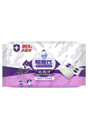 湿巾静电除尘纸花仙子