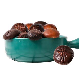 雪中王 松蘑菇 家用剪脚农家特产松菇肉厚无根香菇300g东北香菇