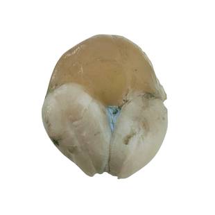 带膏小墨鱼蛋500g 小乌贼蛋目鱼蛋带膏黄 宁波新鲜腌制海鲜包邮