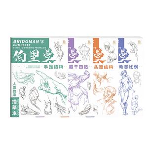 伯里曼人体教学描摹本 4册套装 人体结构描摹本练习册 速写书人体描摹书 素描速写基础入门 结构手绘绘画教程