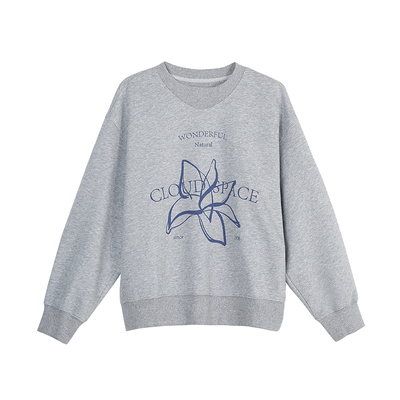 CLOUDSPACE【Have fun】复合牛奶丝V领卫衣2025秋季插肩袖上衣女