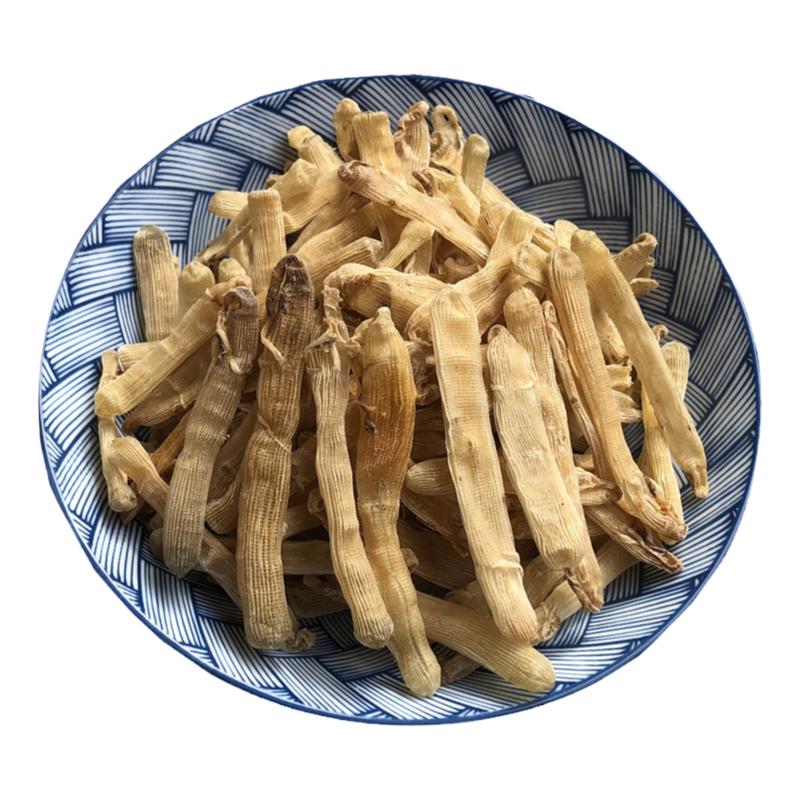 海产品沙虫干北海大沙虫海肠子