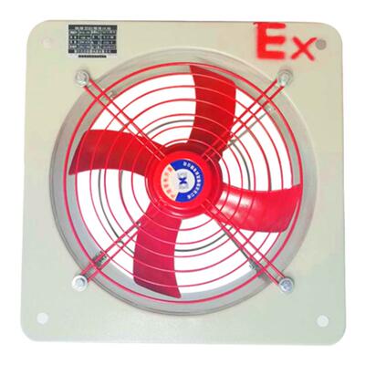 防爆排风扇换气扇220V工业