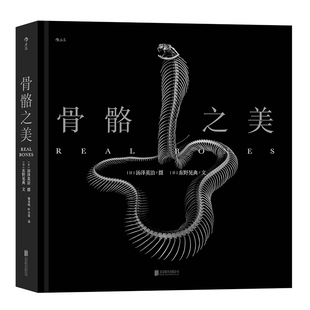 后浪正版现货 骨骼之美 让双目触摸129种动物骨骼的结构与质感 黑白韵律谱写脊椎动物千年演化史诗书籍