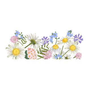 ins风静电窗贴创意装饰商场女装店玻璃门贴纸橱窗装饰静电贴花朵