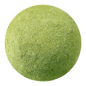 猫玩具舔舔乐超大薄荷球虫瘿果自嗨解闷磨牙逗猫棒耐咬幼猫咪用品