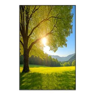 现代简约树木风景装饰画小清新客厅挂画玄关沙发落地森林大树壁画