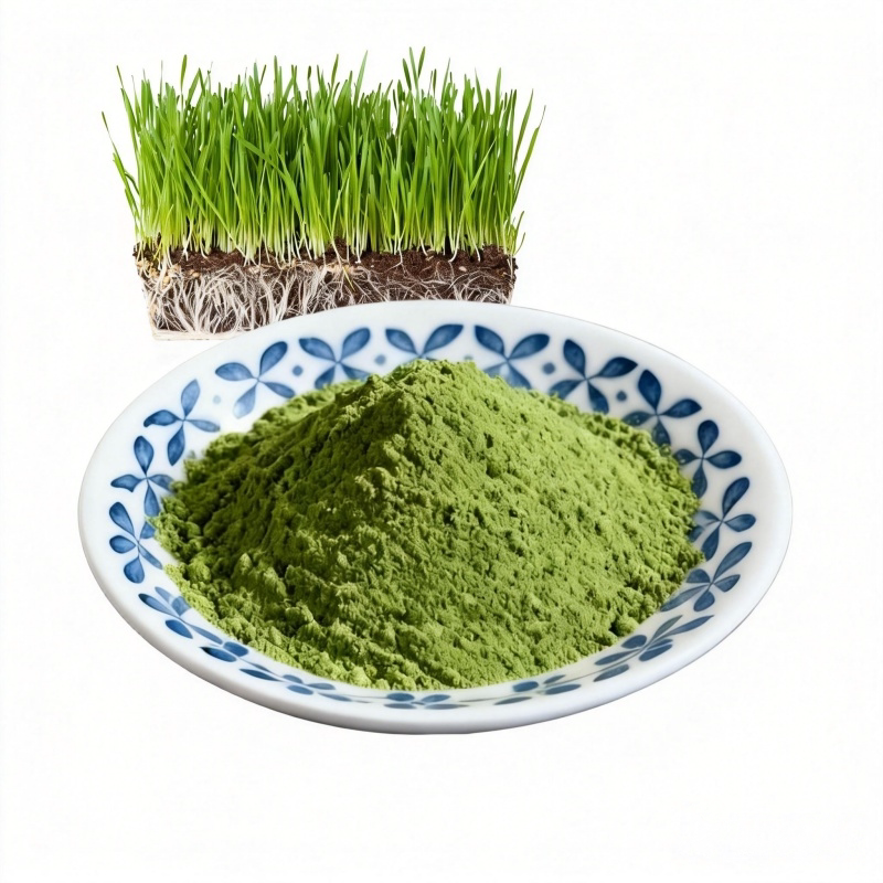 纯大麦苗粉青汁果蔬粉 商用烘焙天然青团上色 健身代餐冲饮猫草粉
