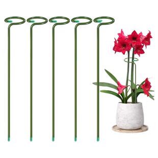 植物支撑绣球蝴蝶兰花架子固定架月季爬藤防倒伏铁艺花架桌面包塑