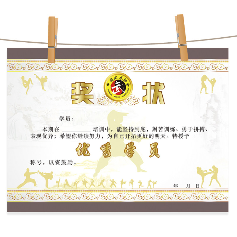 武术奖状优秀学员进步比赛定做