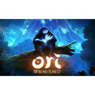 Steam正版国区KEY 奥日与黑暗森林终极版 奥日 激活码CDKEY