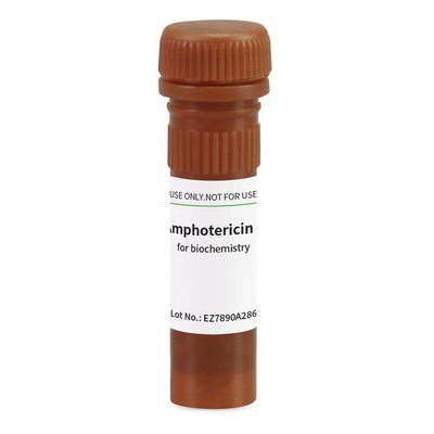 BioFroxx生物化学试剂两性霉素B