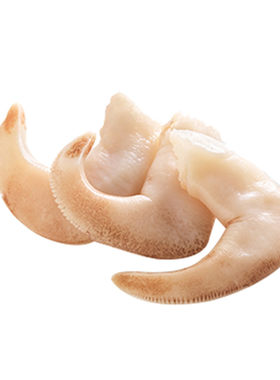 原装进口白玉贝大包装1kg