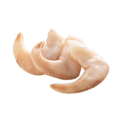 原装进口白玉贝大包装1kg