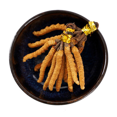 新鲜冬虫夏草5支/g断草根煲汤茶西藏那曲头期鲜虫草正品