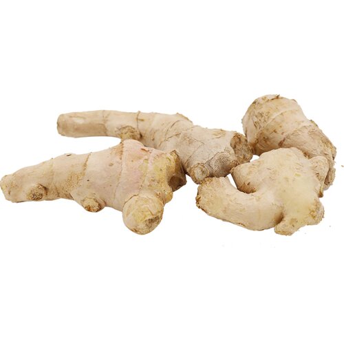 老姜250-500g新鲜生姜大黄姜现挖农家老姜黄姜沙姜辛辣调味料