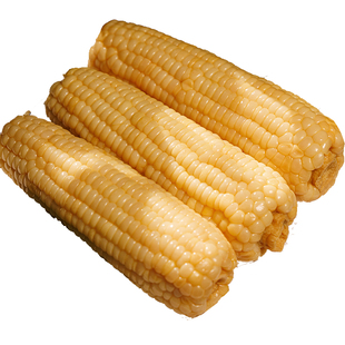 远方的梦想玉膳房白糯玉米甜糯玉米棒新鲜现摘苞谷即食玉米饱腹
