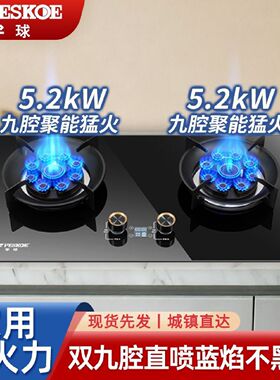 半球燃气灶双灶具家用液化气天然气煤气灶一级能效猛火大火力