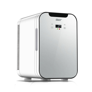 SAST车载迷你小冰箱12v汽车小型家用宿舍单人冷藏车家两母乳储奶