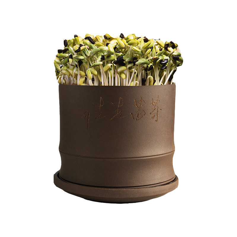芽苗菜育苗桶家用陶瓷豆芽菜罐无土栽培水培神器生绿黄豆芽紫砂盆