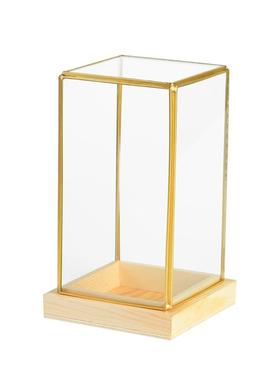 黄铜玻璃罩展示北欧轻奢