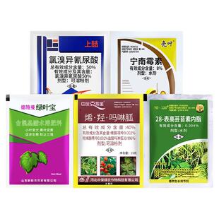 辣椒病毒病专用药番茄西红柿宁南霉素氯溴异氰尿酸盐酸吗啉胍农药
