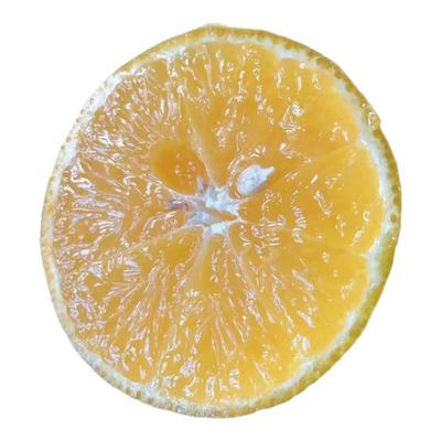 每天水果优选 广西武鸣老树皇帝柑 清甜多汁当季新鲜柑橘桔子