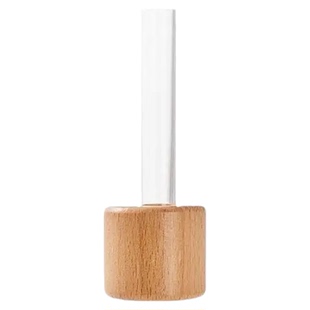 家用水培花瓶试管简约透明花瓶冰箱磁贴创意水养绿植插花摆件器皿