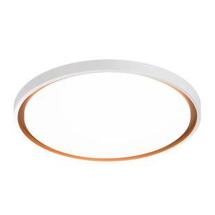 雷士照明led客厅灯具现代简约书房北欧房间卧室灯全光谱吸顶灯