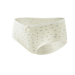 都市丽人内裤女士A类婴儿棉抑菌加长档包臀甜美碎花少女三角短裤