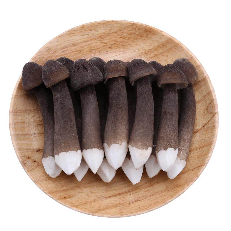 黑皮鸡枞菌新鲜鸡枞菌云南特产食用菌长根菇产地直销顺丰包邮500g