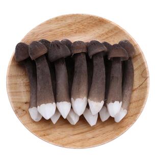 黑皮鸡枞菌新鲜鸡枞菌云南特产食用菌长根菇产地直销顺丰包邮500g