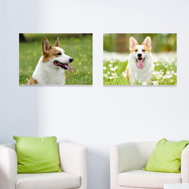 现代简约无框画儿童房挂画可爱狗狗宠物店装饰画走廊过道卧室墙壁