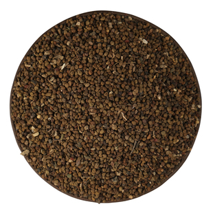 新采中草药材籽半枝莲种子并头草韩信草赶山鞭牙刷草紫连草包邮